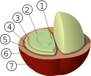 tests